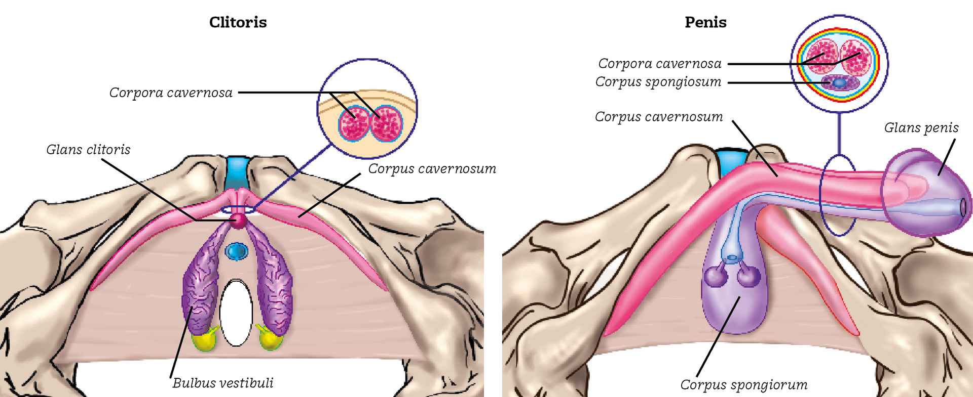 niet klaar kunnen komen